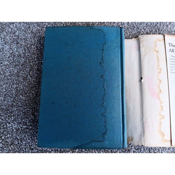 Hans Brinker or the Silver Skates (A Story of Life in Holland) With Dust Jacket - Picture 11 of 13